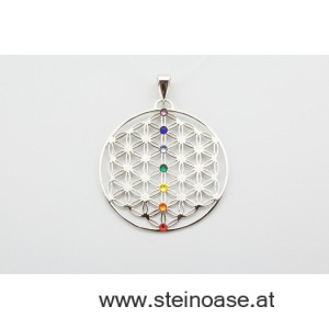 Chakra & Lebensblume Silber